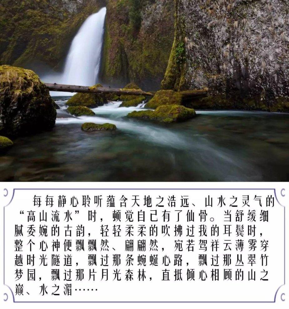 植物大战僵尸7